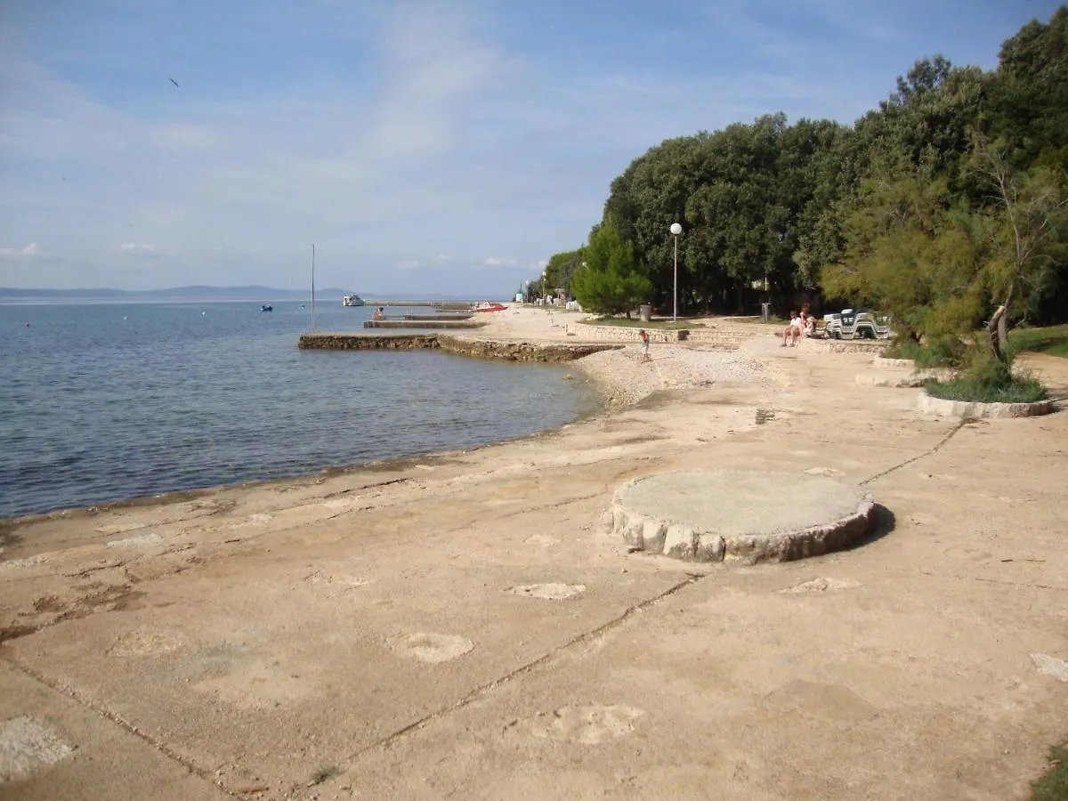 Apartments Villa Damir Petrcane