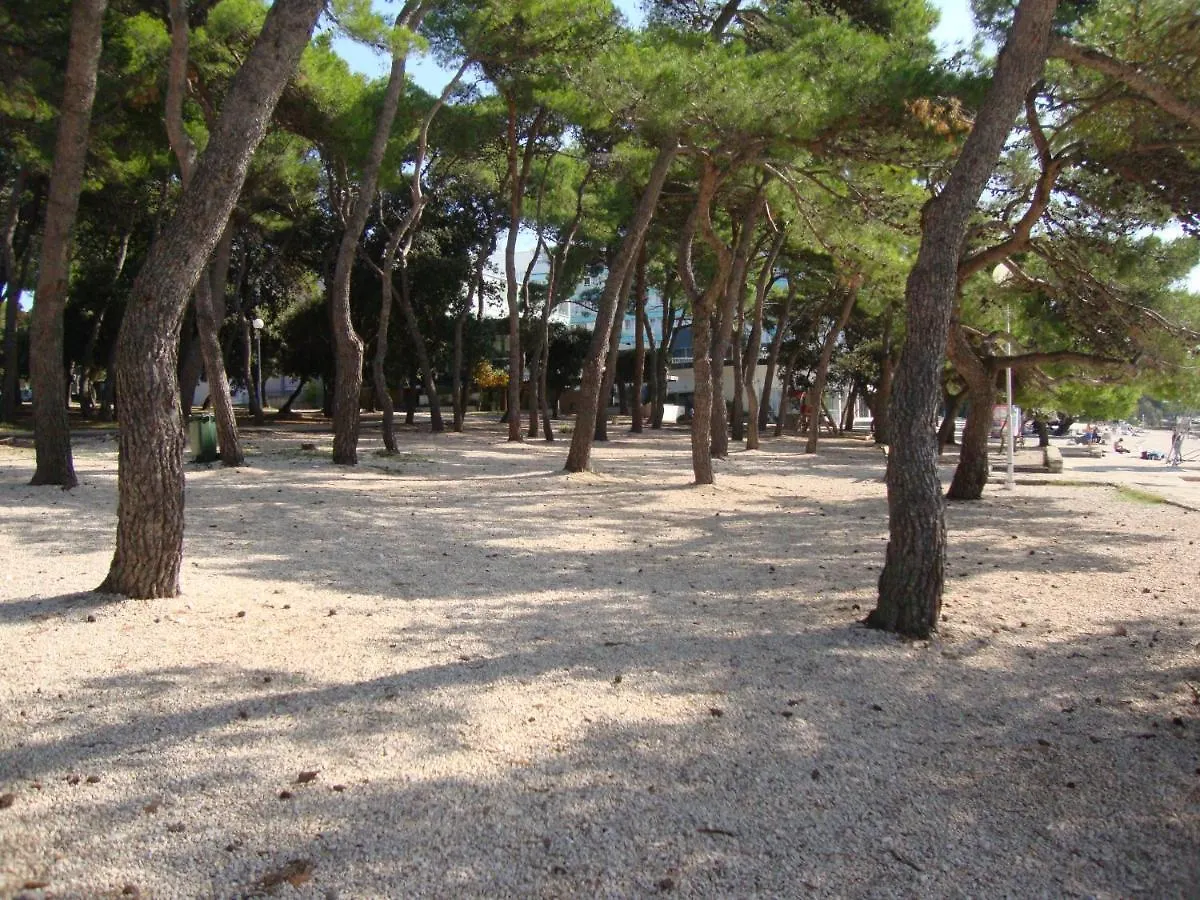 Apartments Villa Damir Petrcane